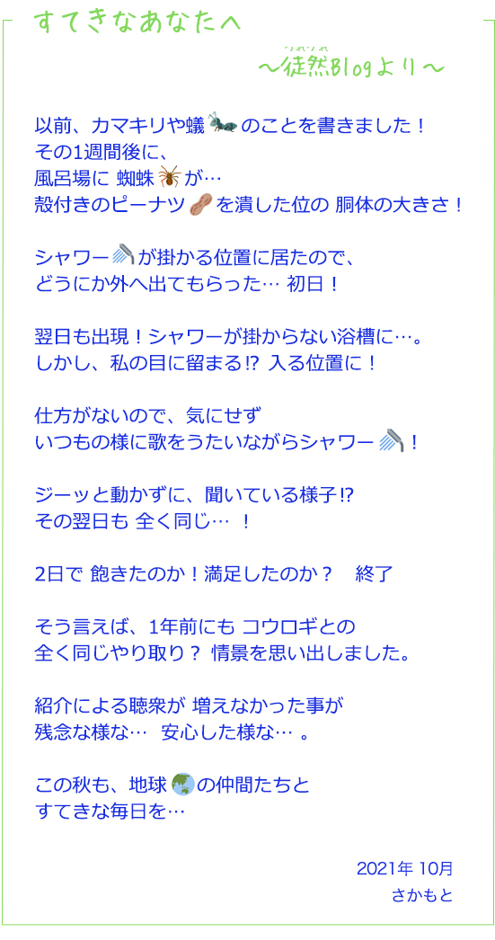 すてきなあなたへ10月